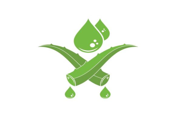 Aloe Vera Vector Illustration Design: A Fresh Visual Asset