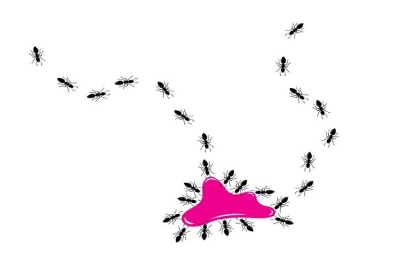 Ants Vector Illustration Design Template: A Versatile Asset