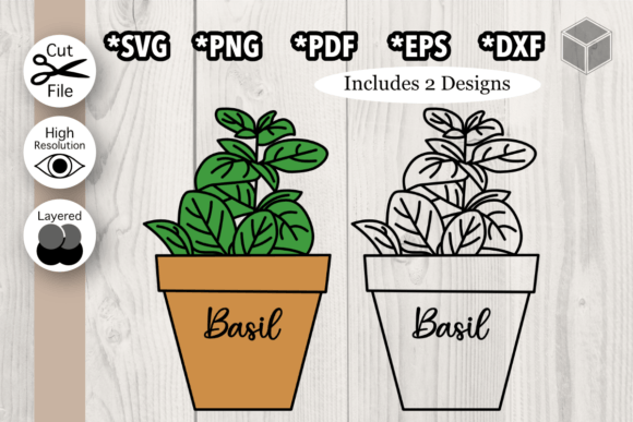 Basil Plant: A Fresh Take on Herb-Inspired Typography