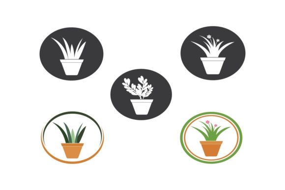 Bring Nature Indoors: The Plant in Pot Vector Illustration Set