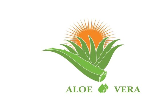 Bring Nature to Your Brand with an Aloe Vera Logo