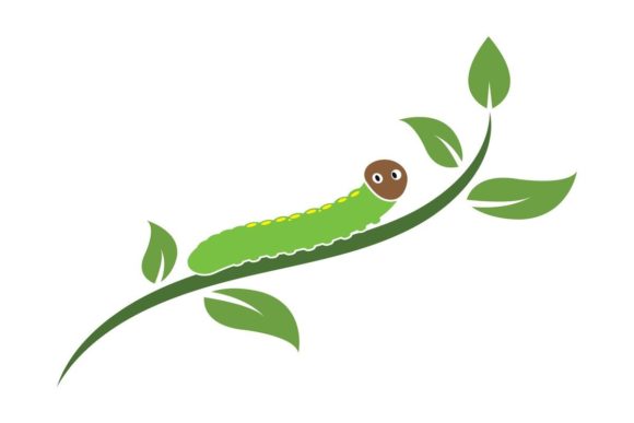 Caterpillar on a Branch: Vector Design for Nature Projects