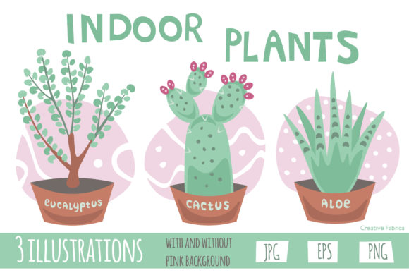 Indoor Plants: A Designer's Guide to Botanical Graphics